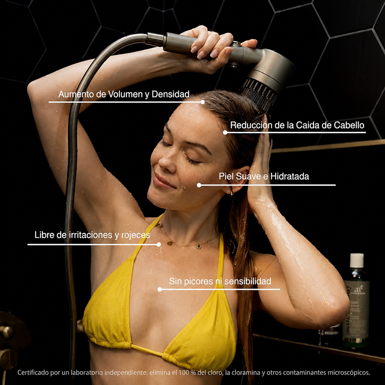 HydroZen® Cabezal Purificador